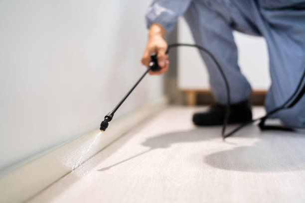 Licensed Cockroach Control service in Grottoes, VA - Nex Pest Control