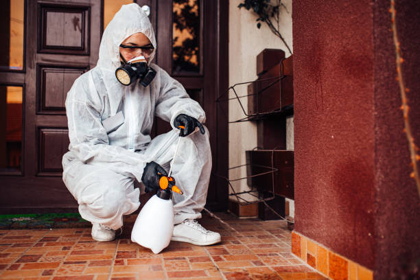 Reliable Cockroach Control contractor in Grottoes, VA by Nex Pest Control