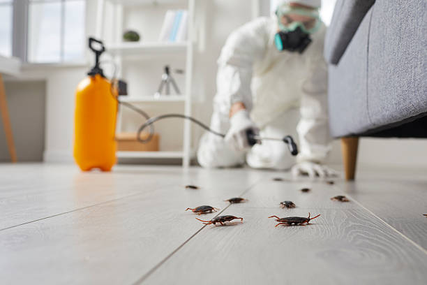 Affordable Cockroach Control solutions in Grottoes, VA